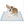 Load image into Gallery viewer, Basics Dog and Puppy Pads, Leak-proof 5-Layer Pee Pads with Quick-dry Surface for Potty Training
