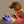 Load image into Gallery viewer, Rechargeable Flashing LED Pet Dog Collar