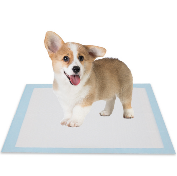 Basics Dog and Puppy Pads, Leak-proof 5-Layer Pee Pads with Quick-dry Surface for Potty Training