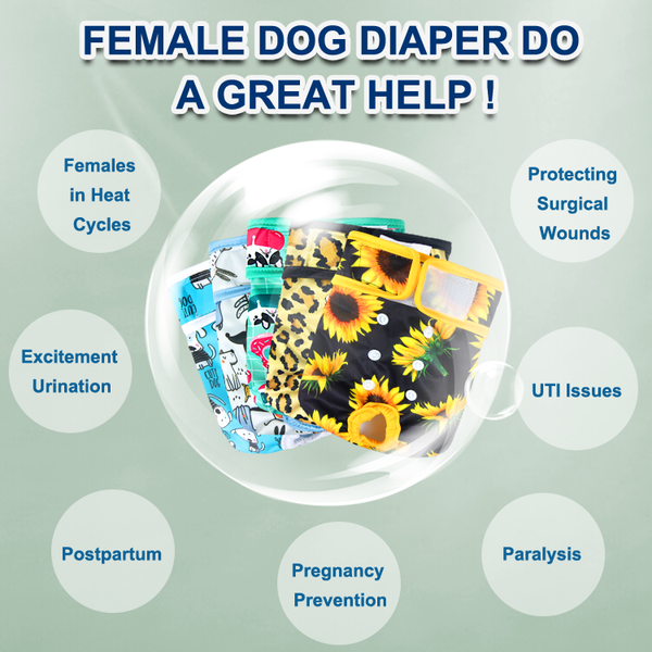 Reusable Washable Female Dog Pet Diaper