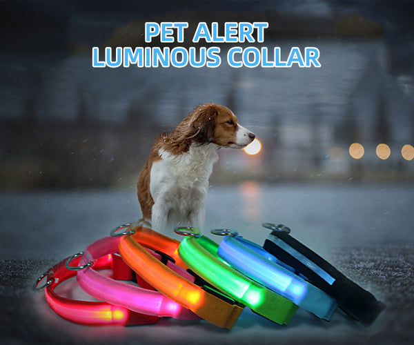 Rechargeable Flashing LED Pet Dog Collar