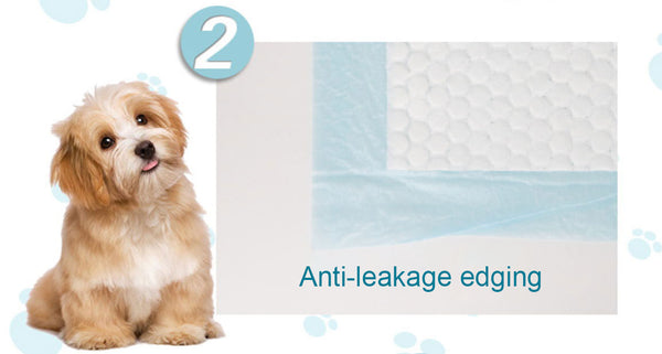 Basics Dog and Puppy Pads, Leak-proof 5-Layer Pee Pads with Quick-dry Surface for Potty Training