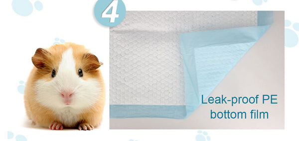 Basics Dog and Puppy Pads, Leak-proof 5-Layer Pee Pads with Quick-dry Surface for Potty Training