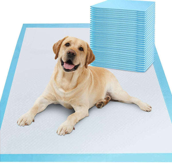 Basics Dog and Puppy Pads, Leak-proof 5-Layer Pee Pads with Quick-dry Surface for Potty Training