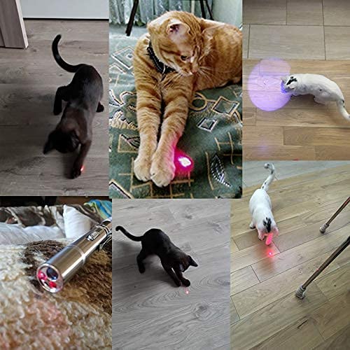 Cat Laser Toy Pet Chaser Tease Stick Training Exercise,  Interactive Cat Toys for Indoor Cats Dog